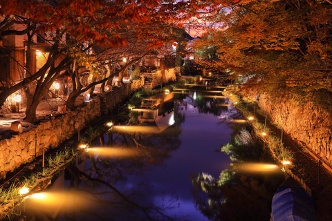 Depuis Kyoto : Excursion d&#039;une journée au lac Biwa et à Omi Hachiman avec déjeuner