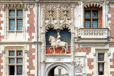 Loire Valley Château of Blois & Wine Tasting Experience