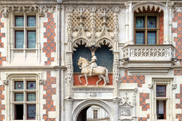 Loire Valley Château of Blois & Wine Tasting Experience