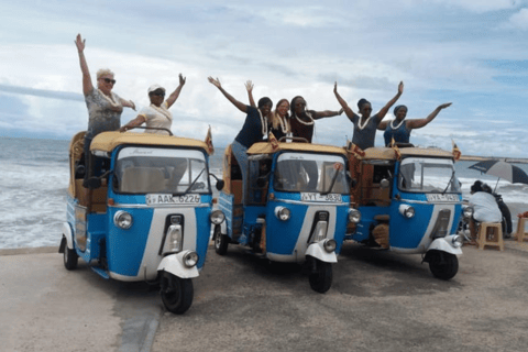 Visita VIP en TukTuk por Colombo con comida/cena