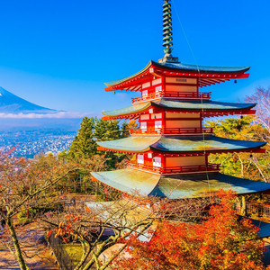 From Tokyo: Mount Fuji Private Day Trip with Driver