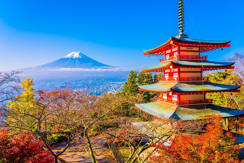 From Tokyo: Mount Fuji Private Tour With English Guide Route 2 Mount Fuji & Hakone: Full day customized Tour