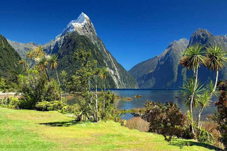 Milford Sound Scenic Tour – Small Group from Queenstown