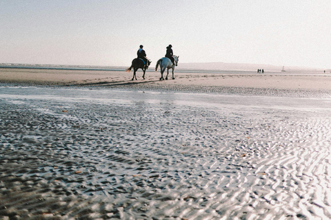 Aruba: Sunrise Coast & Desert Horseback Ride with Pickup