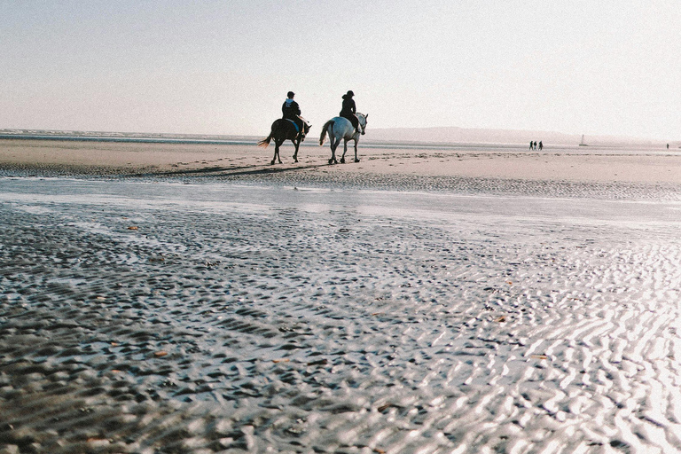 Aruba: Sunrise Coast & Desert Horseback Ride with Pickup
