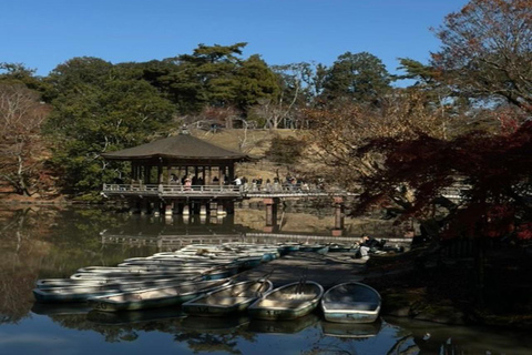 From Osaka: Nara Private Guided Day Trip with Flexible Tour