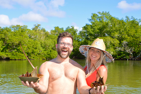 From Naples, FL: Marco Island Mangroves Kayak or Paddle Tour Easy Ride Pedal Kayak Tour
