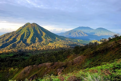 Banyuwangi : Mt Ijen with Local guide and Transfer Service