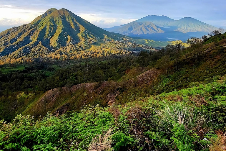 Banyuwangi : Mt Ijen with Local guide and Transfer Service