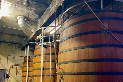 Wine Tour: On the Way to Chateauneuf du Pape