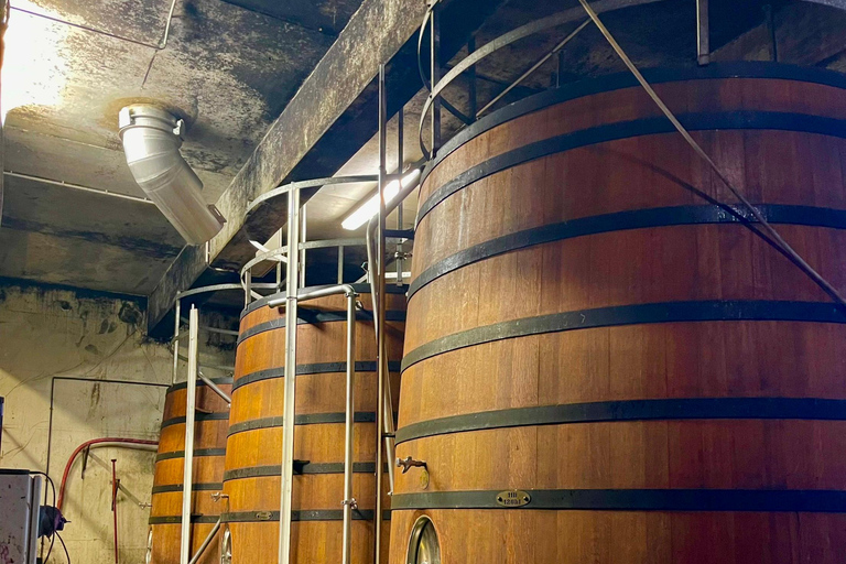 Wine Tour: On the Way to Chateauneuf du Pape