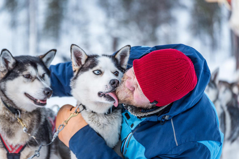 Saariselkä: Safari con huskies y caza de auroras boreales