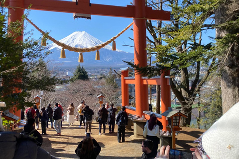 From Tokyo: Mount Fuji Full Day Customizable Tour With Guide ITINERARY B: Mount Fuji & Hakone Customize Tour With Guide