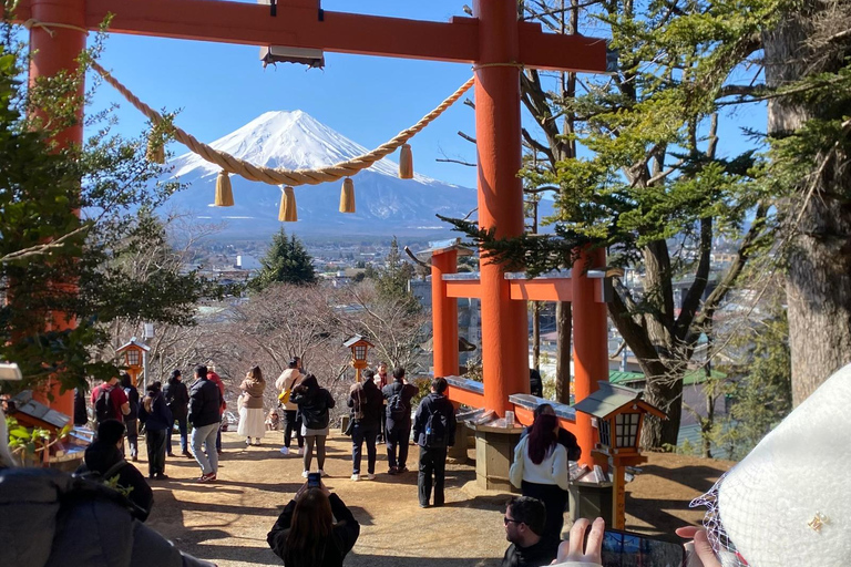 From Tokyo: Mount Fuji Full Day Customizable Tour With Guide ITINERARY B: Mount Fuji & Hakone Customize Tour With Guide