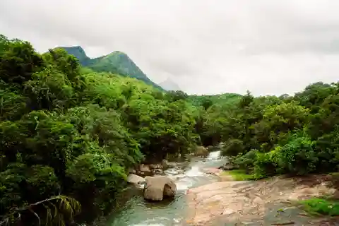 Kandy(Meemure) : Randonnée guidée en petit groupe à Knuckles Range