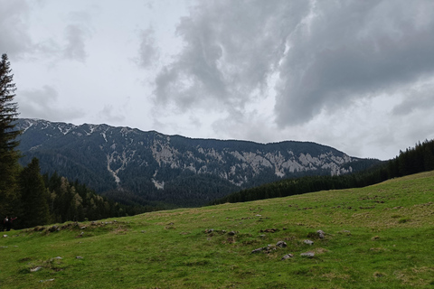 Brașov: Caminhada privada em Piatra Craiului até a cabana CurmaturaBrașov: Caminhada Privada de Piatra Craiului até a Cabana Curmatura