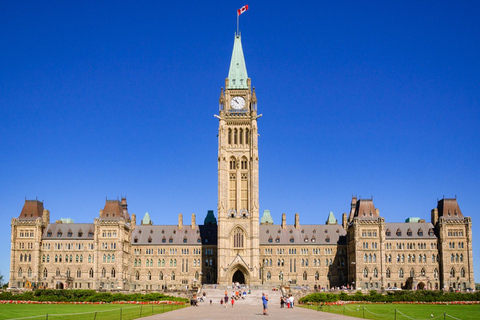 Royal Ontario Museum & Gardiner Museum Private Guided Tour 3-hour: Royal Ontario Museum Tour & Transport