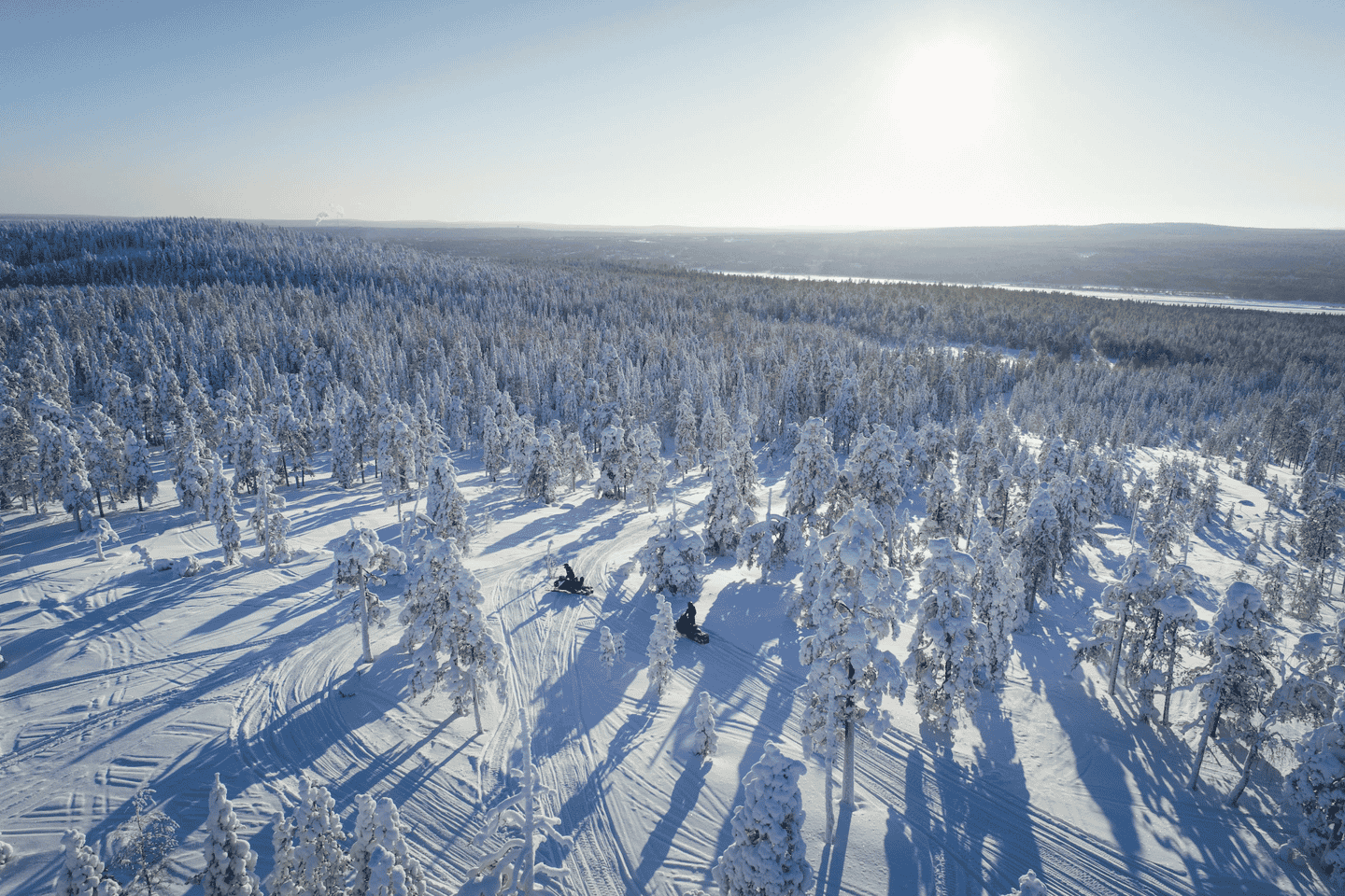 Rovaniemi: Sabor de la Aventura en Motonieve por la Naturaleza Salvaje