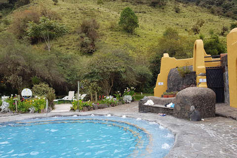 Cotopaxi nationalpark och Papallacta varma källorVulkanen och den varma källan Cotopaxi -Inkluderat Refugium