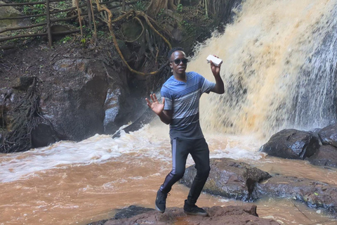 Karura Forest walking tour with nature and waterfalls.