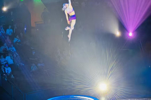 Shanghai: Circus World ERA Theatre Acrobatics Ticket Circus World Acrobatic Ticket: Area B Seat (Value for Money)