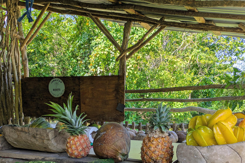 Negril: Jamaican Roots Tropical Farm Tour (2.5 hr w/ pickup)