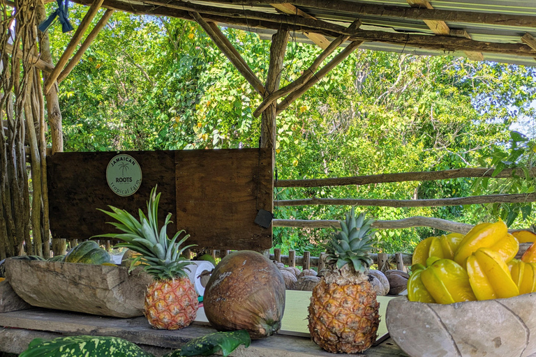 Negril: Jamaican Roots Tropical Farm Tour (2.5 hr w/ pickup)