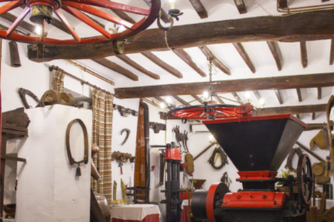 Santa Pola, Gran Alacan, Urbanova: Guided Wine Tasting Tour