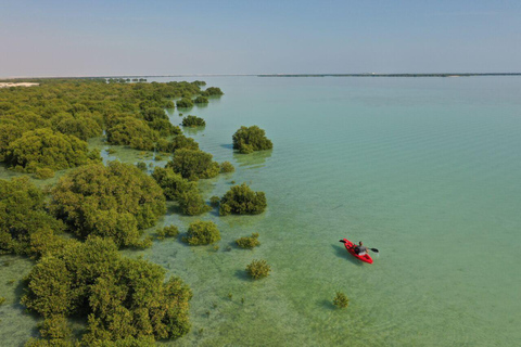 Doha : Visite privée du nord du Qatar, mangroves et fort de Zubara