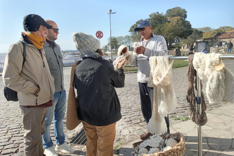 Colonia del Sacramento: Private Sightseeing Tour with a Brazilian Guide