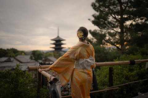 Kyoto: Full-Day Private Vehicle Tour with Guide