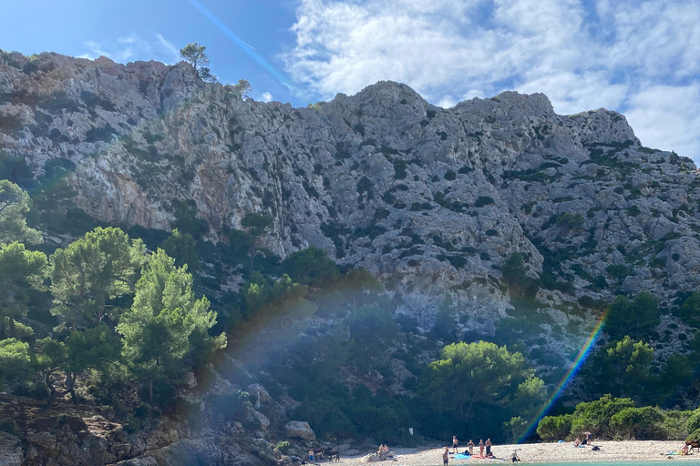 Tour privato della costa invernale: Tour panoramico in barca della durata di 2,5 ore