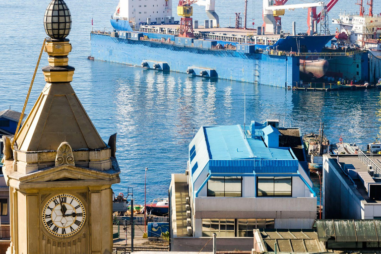 Chili : excursion d&#039;une journée à Viña del Mar et Valparaíso au départ de SantiagoVisite privée en chinois