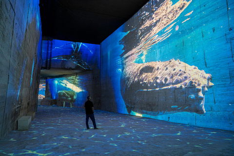 Les Baux-de-Provence: Carrières des Lumières Ocean ticket