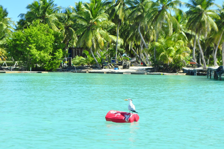 "Saona Expedition: 4 Beaches Tour from Punta Cana" "Saona Expedition: 3 Beaches Tour from Punta Cana"