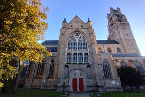 Tour a pie en grupo reducido por Brujas - La ciudad y más allá