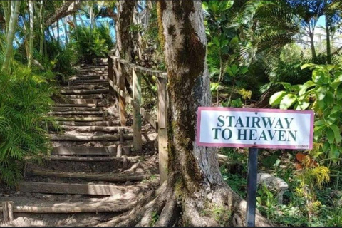 Saint Lucia: Private Tet Paul Nature Trail & Waterfall Tour