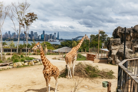 Sydney: tickets voor Taronga Zoo