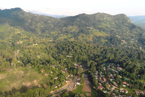 坦桑尼亚：从海岸到湖泊的 10 天社区野生动物之旅坦桑尼亚：从海岸到湖泊的 10 天社区之旅