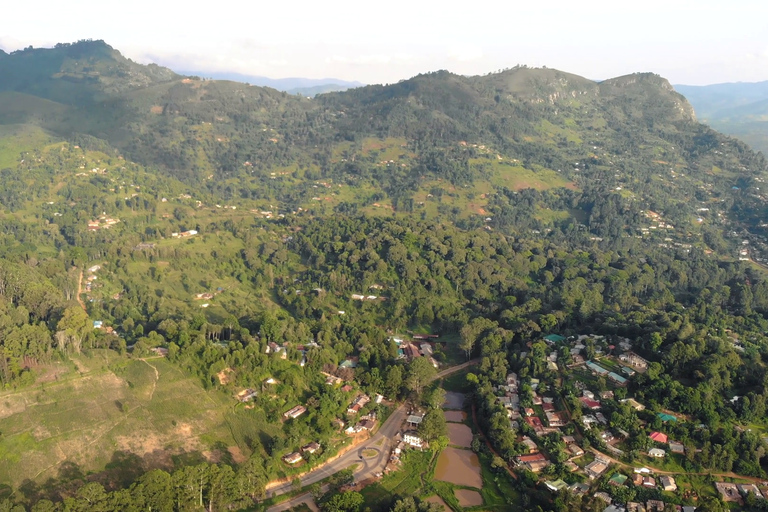 坦桑尼亚：从海岸到湖泊的 10 天社区野生动物之旅坦桑尼亚：从海岸到湖泊的 10 天社区之旅