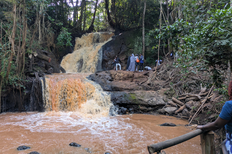 Karura Forest walking tour with nature and waterfalls.