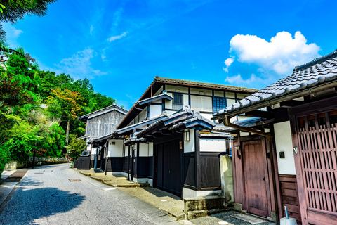 Osaka/Kyoto: Nara, Arashiyama, Fushimi Inari Taisha Day Tour Kyoto & Nara Day Tour | 8:00 AM from Osaka