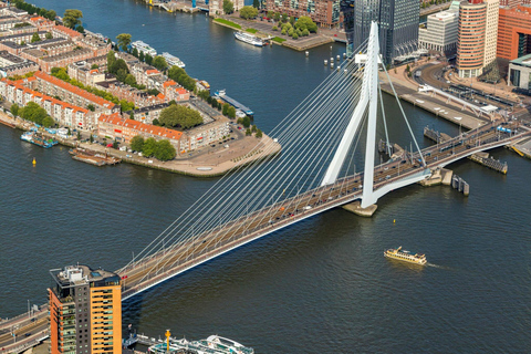 Tour giornaliero a piedi e in barca di Rotterdam e Kinderdijk