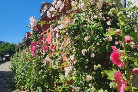Aarhus Highlights: History, Architecture & Danish Life