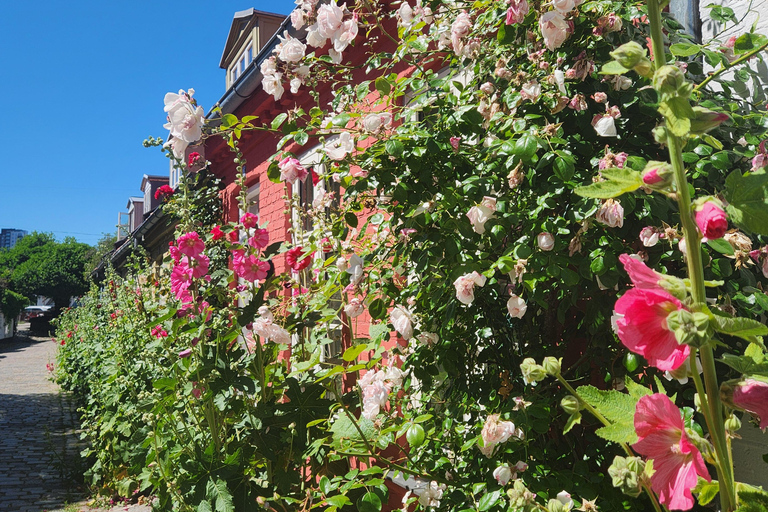 Aarhus Highlights: History, Architecture & Danish Life