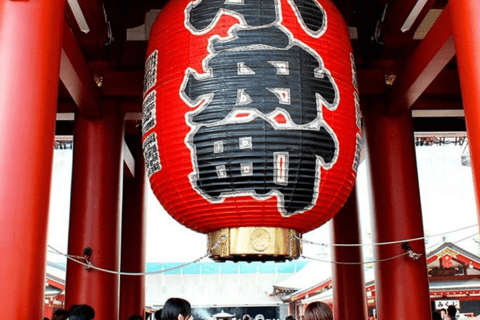 Tokyo Full Day Customizable Private Tour with English Guide