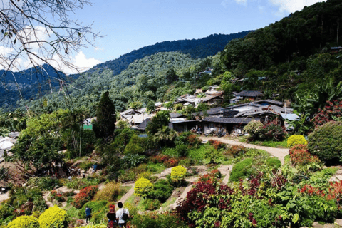 Excursão de meio dia à aldeia Hmong, Doi Suthep e Wat Pha Lat