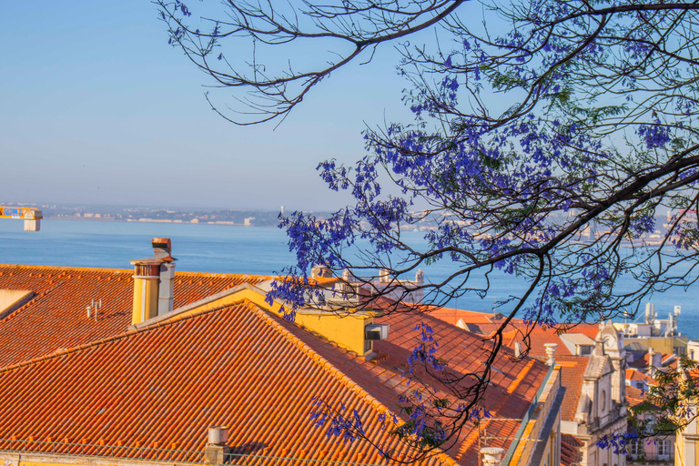 Lisbona: Tour Tuk-Tuk in francese o tedesco con vera guida localeTour di 2 ore: Centro storico di Lisbona e centro città