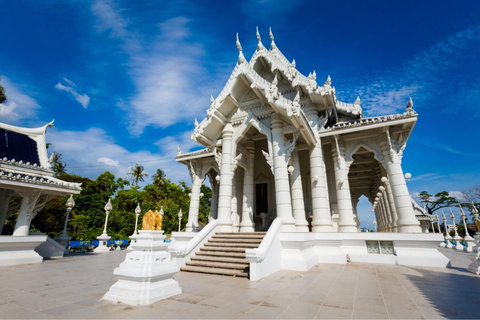 Krabi: Halvdagsutflykt med varma källor och Emerald Pool