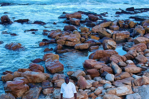 Ciudad del Cabo: Visita guiada de un día al Cabo de Buena Esperanza y los Pingüinos